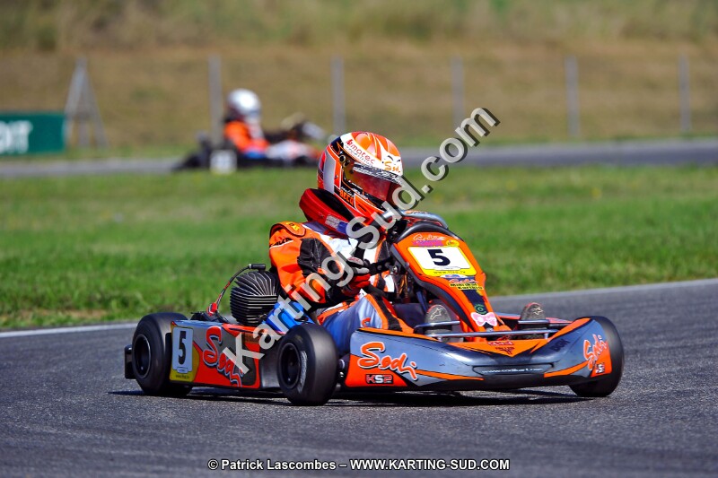 DSC_ (1337).jpg